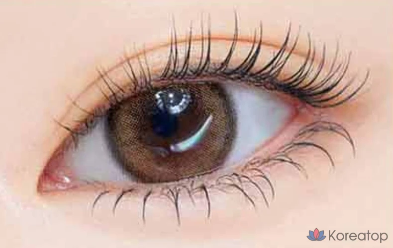 Тушь для ресниц Etude House Curl Fix Mascara Mini, 4 г, 1 шт., цвет 03 (серо-коричневый).