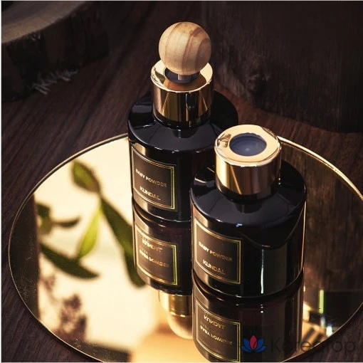 Автомобильный диффузор для духов Kundal, 75 мл x 2 шт., 2 деревянные палочки с ароматом Blanc, 1 комплект.