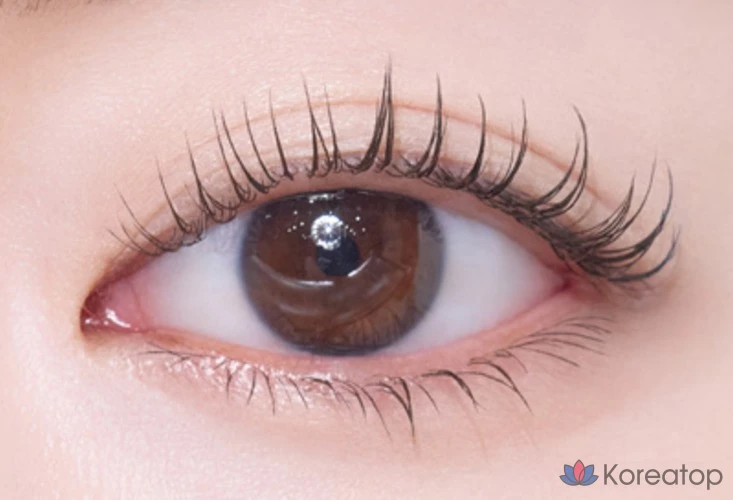 Etude Doctor Фиксатор для туши для ресниц 6г, 03 Коричневый, 1 шт., фото 4