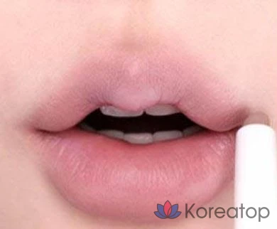 Lilybyred Smiley Lip Blending Stick 0,8 г, 04 Siluk Siluk (L238A), 1 шт.