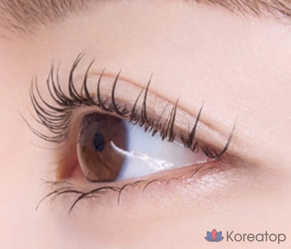 Etude Doctor Фиксатор для туши для ресниц 6г, 03 Коричневый, 1 шт., фото 5