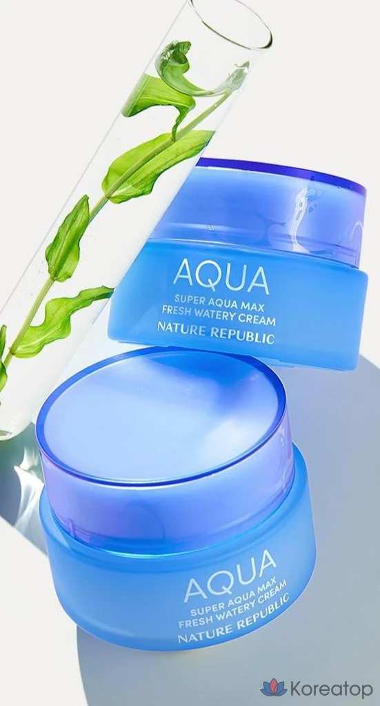 Увлажняющий крем Nature Republic Super Aqua Max Fresh для жирной кожи, 80 мл, 1 шт.