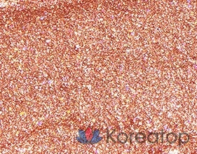 Жидкие блестящие тени для век Missha Glitter Prism Liquid Eyeshadow Shine, Dragon Fantasy, 1 шт., фото 2