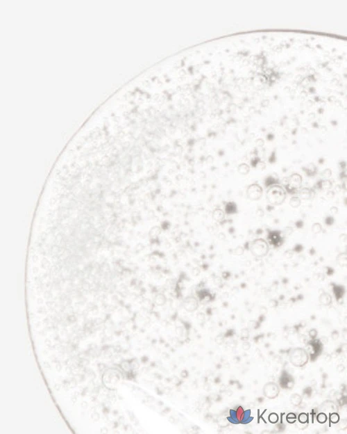 The Ordinary Renewal Alpha Arbutin 2% HA сыворотка, 30 мл, 1 шт.