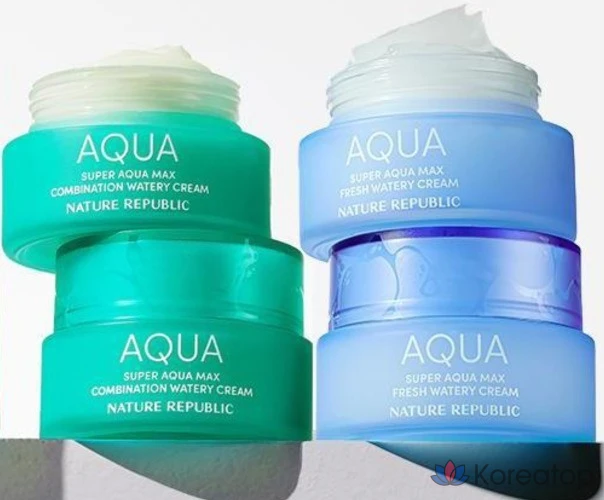 Увлажняющий крем Nature Republic Super Aqua Max Fresh для жирной кожи, 80 мл, 1 шт.