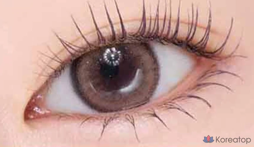 Тушь для ресниц Etude House Curl Fix Mascara Mini, 4 г, 1 шт., цвет 03 (серо-коричневый).