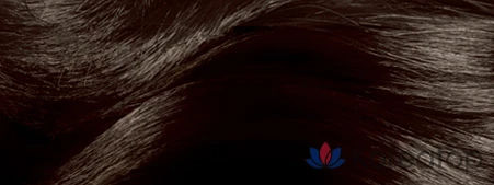 Крем-краска для волос Elastine Salon de Color & Satch Dye Cream, черно-коричневая, 1 шт., фото 5