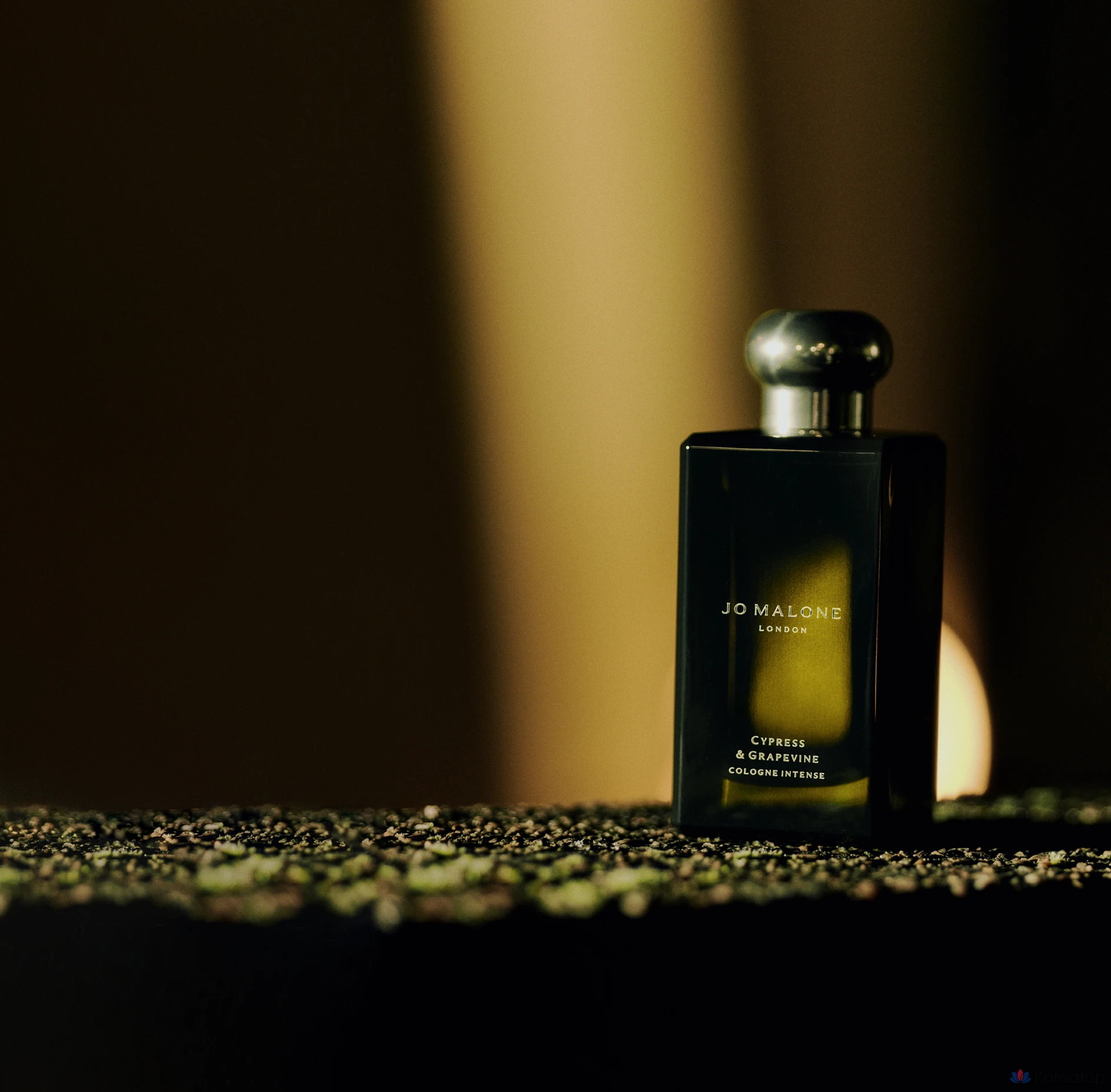 Парфюмированная вода Jo Malone London Cypress & Grapevine Cologne Intense, 50 мл, 1 шт., фото 4