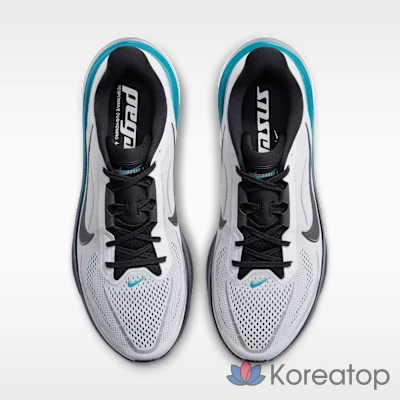 Кроссовки мужские Nike Pegasus 42 Road Running