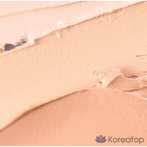 Консилер Hanskin Blemish Cover Natural светлый 12 г