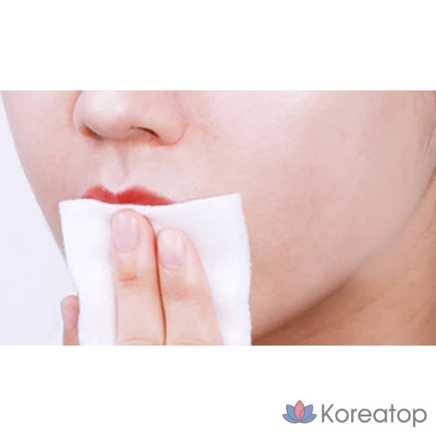 The Saem Средство для снятия макияжа с глаз и губ Healing Tea Garden Green Tea Lip &amp; eye Remover, 500 мл, 2 шт