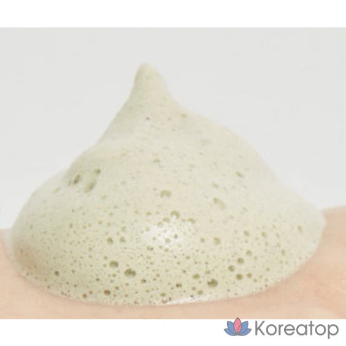 Пенка для умывания Missha Artemisia Pack Foam Cleanser