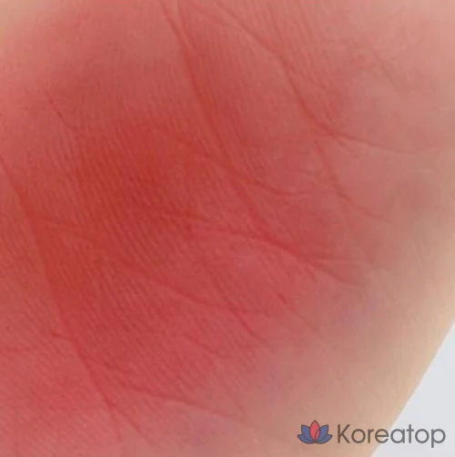 Merythod Reel Tattoo Filter Velvet Tint, 06 Evening, 1 шт.