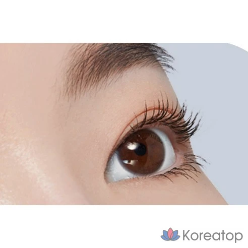 Фиксирующая основа под тушь Etude House Dr. Mascara Fixer #02 Black, 6 г