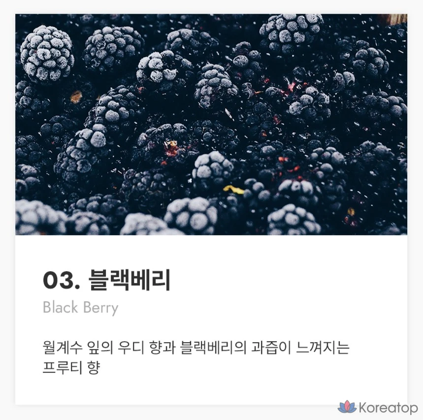 912 Niche Perfume Blackberry Eau de Parfum, 40 мл, 1 флакон