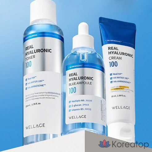 Тонер для лица WELLAGE Real Hyaluronic 100, 200 мл
