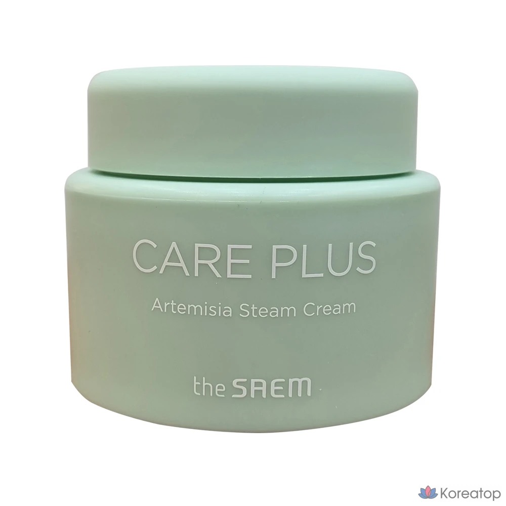 Паровой крем для ухода за кожей The Saem Care Plus с экстрактом полыни, 1 шт.