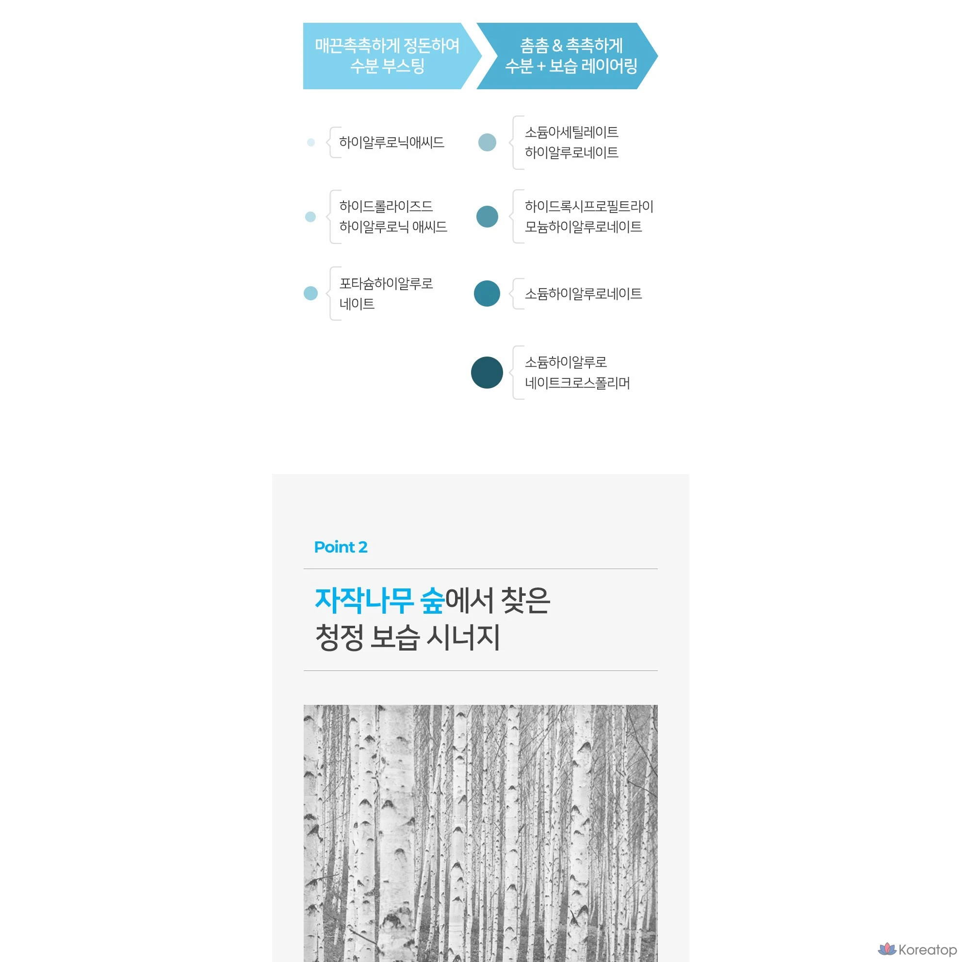 Тоник для лица Coreana Shine Water Fit с гиалуроновой кислотой, 310 мл, 1 шт.
