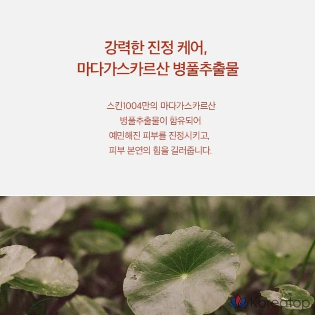 Skin1004 Madagascar Centella Pore-Mfying Fresh Ampoule, 100 мл, 1 шт.