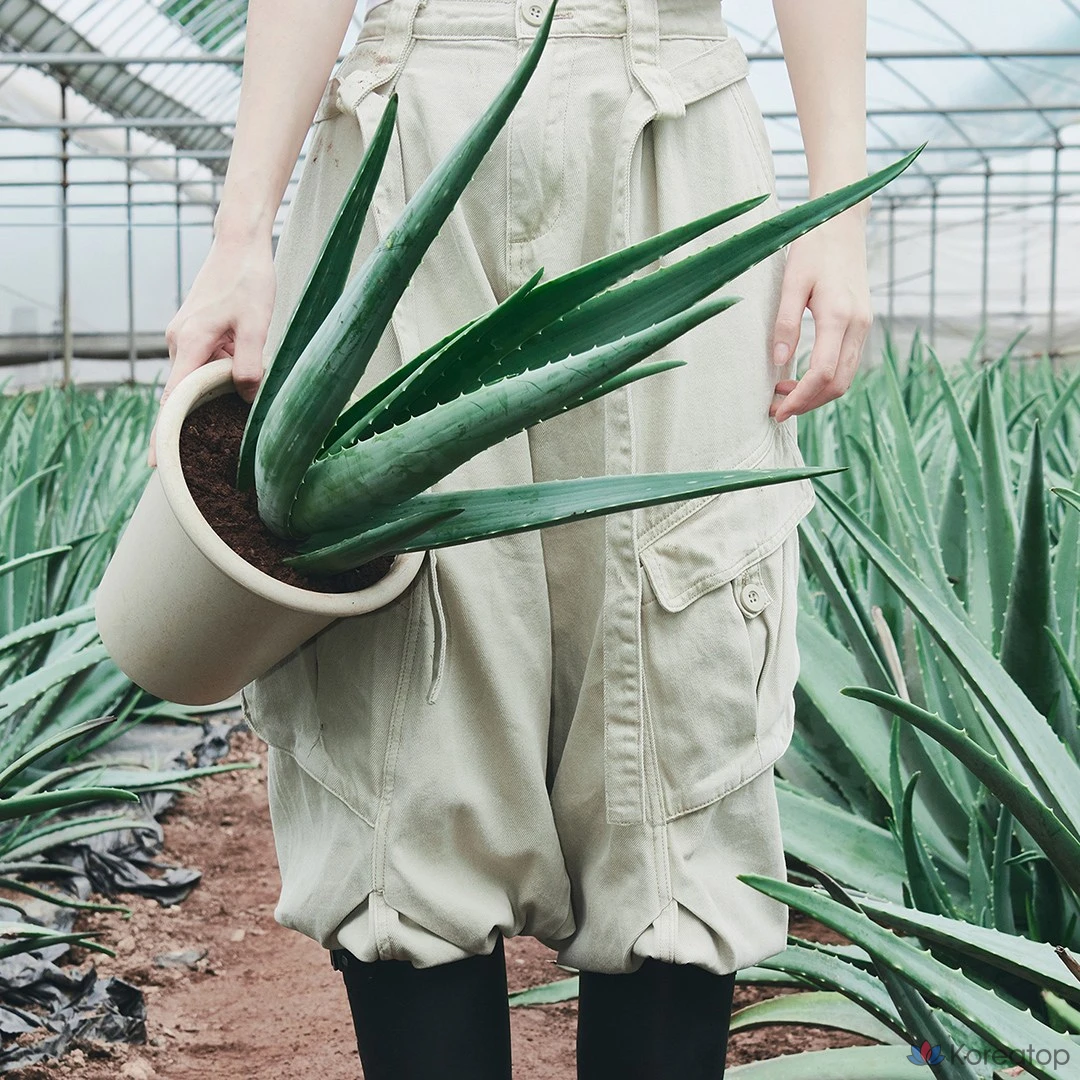 Крем для укрепления кожи Glow Aloe Barrier Support Cream, 1 шт., 50 мл