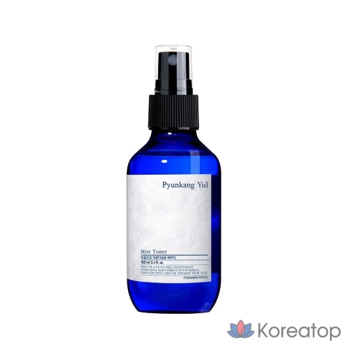 Тоник-спрей, 100 мл, 1 шт.