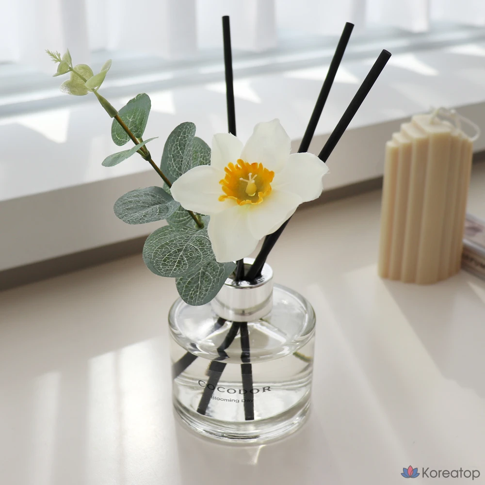 Диффузор для дома Cocodor Botanic Scent, оттенок C (Yangjae Flower Market + Your Soap Scent + Blooming Day), 120 мл, 3 шт.