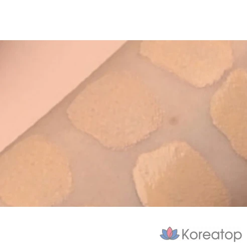 Сменный блок для чехла IOPE Air Cushion 5-го поколения, 15 г