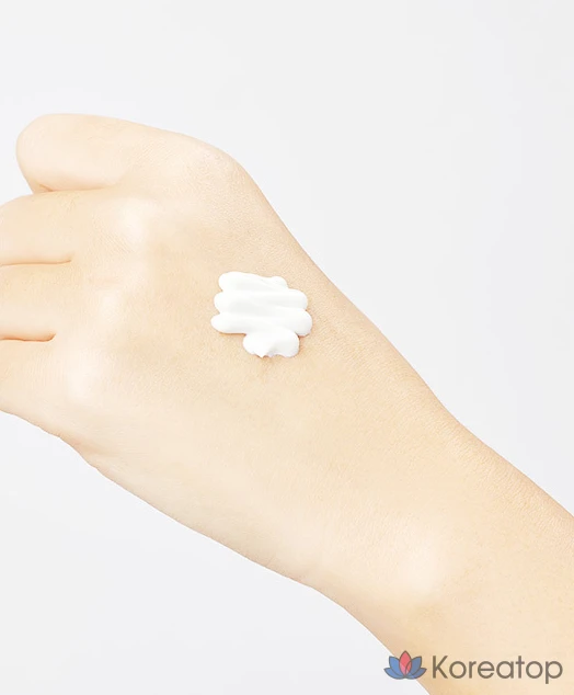 Солнцезащитный крем MIXSOON Shield Fit Pure Sun Cream SPF50+ PA++++, 50 мл, 1 шт.