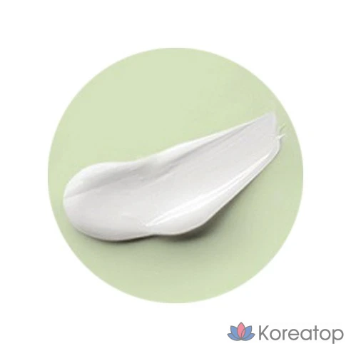 Успокаивающий крем Wellage Real Cica 95