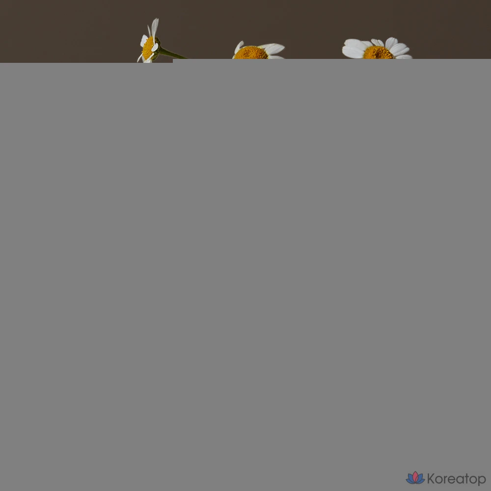 Tibbles Парфюмированное средство для интимной гигиены с ароматом ромашки и цветочными нотками, 5 мл, 1 шт.