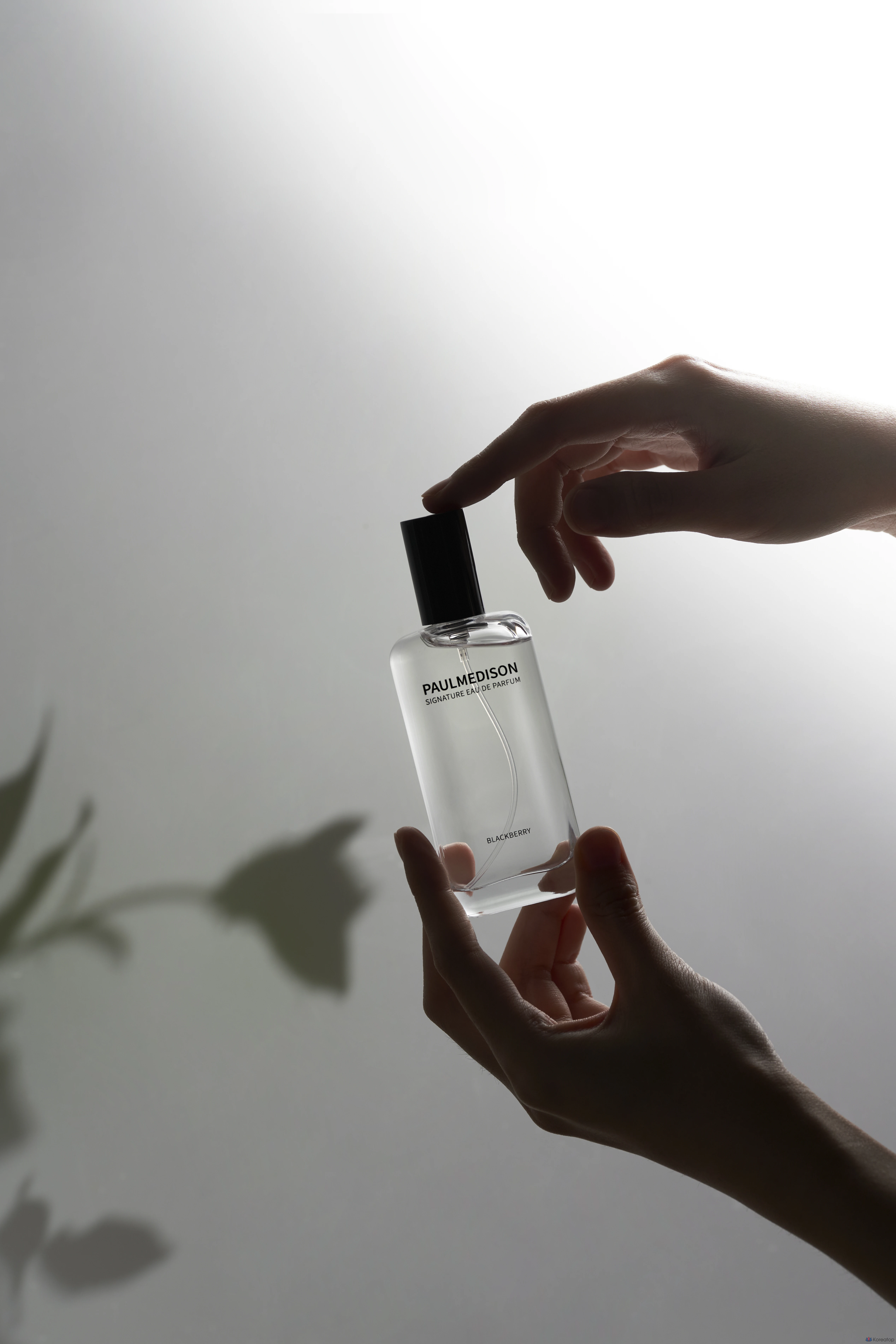 Polmedison Signature Blackberry Eau de Parfum, 50 мл, 1 флакон