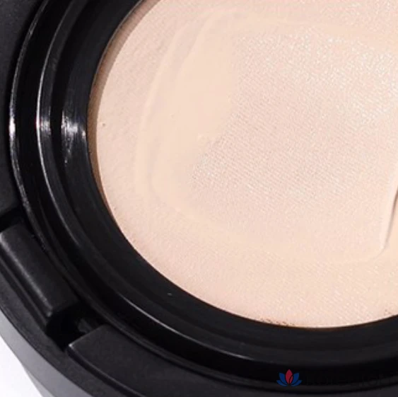 Sooryehan The Black Tension Fit Mesh Cushion, 13 г + сменный блок 13 г, 1 упаковка, оттенок 21, фото 4