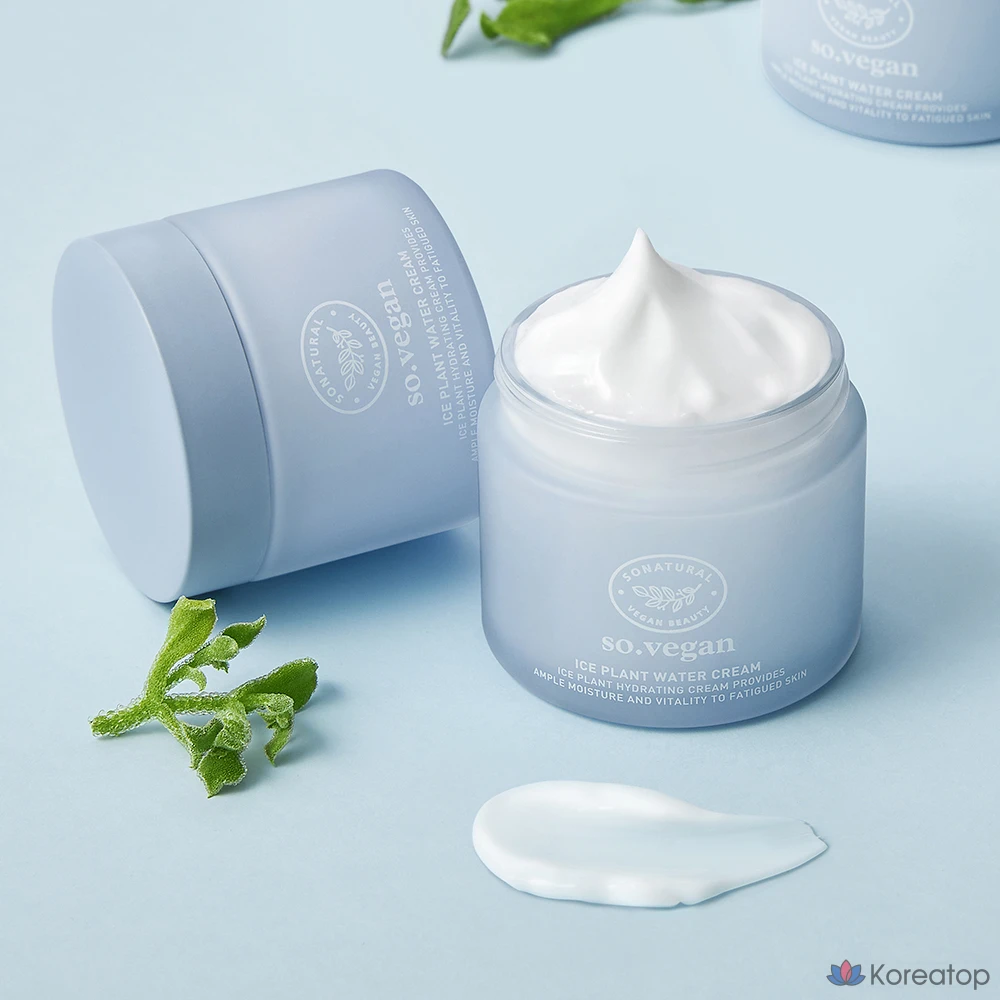 Натуральный веганский крем-мороженое So Natural So Vegan Ice Plant Water Cream, 70 мл, 1 шт.