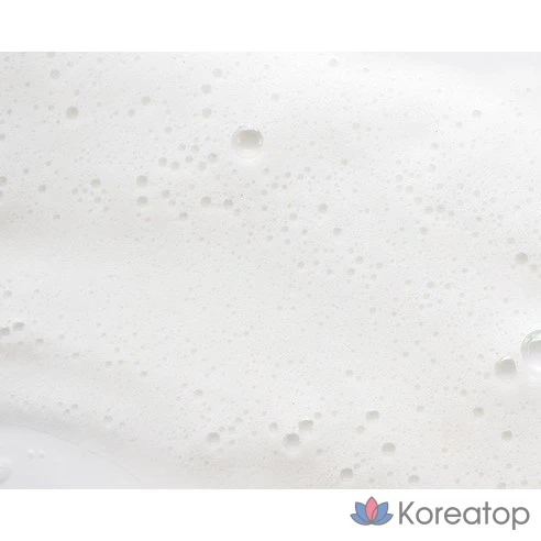 Пудра для умывания Skinfood Black Sugar Perfect Enzyme