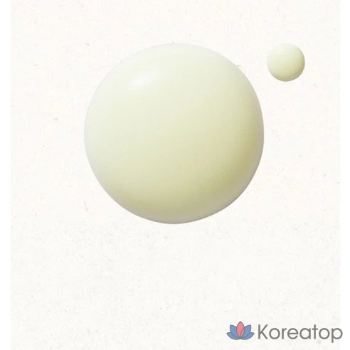 Солнцезащитный крем Skinfood, SPF50+ PA++++, 50 мл