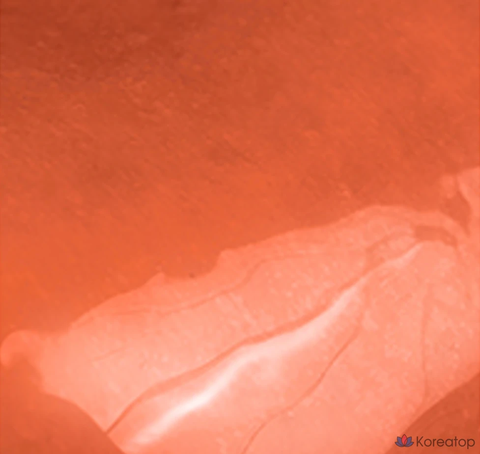 Rom&nd The Juicy Lasting Tint, 12 оттенков яблочно-коричневого цвета, 1 шт., фото 6