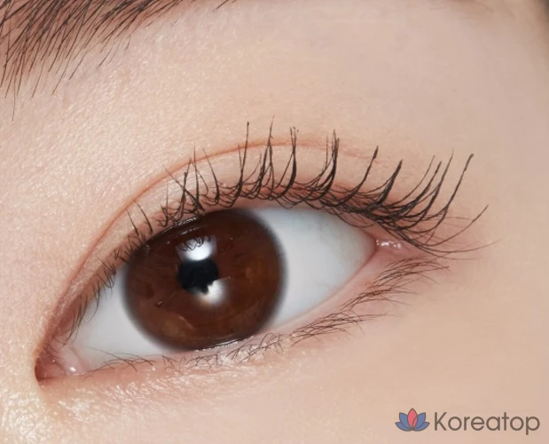 Etude Doctor Фиксатор для туши для ресниц 6г, 03 Коричневый, 1 шт., фото 8