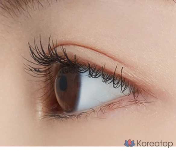 Etude Doctor Фиксатор для туши для ресниц 6г, 03 Коричневый, 1 шт., фото 9