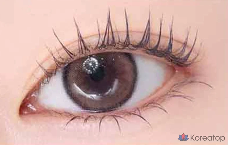 Тушь для ресниц Etude House Curl Fix Mascara Mini, 4 г, 1 шт., цвет сливово-черный (06).