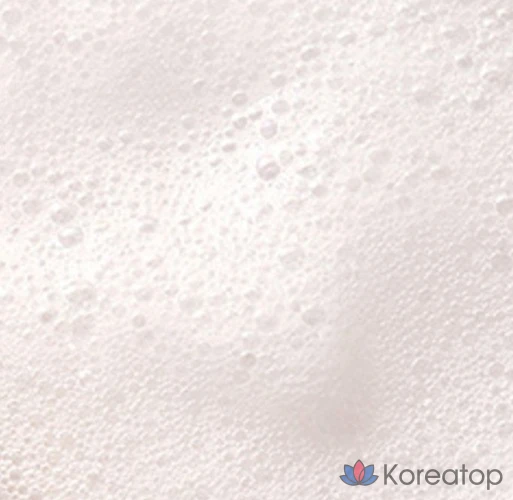 Сменный блок антибактериального пенного жидкого мыла для рук Lion с ароматом лимона, 600 мл, 1 шт., фото 3