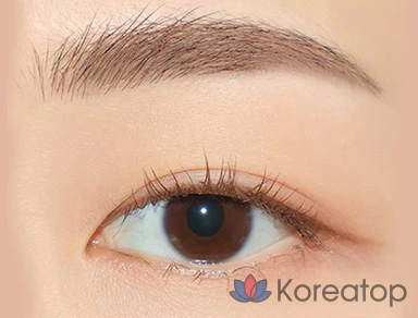 Тени для бровей FMGT The Face Shop Ink Brow Longwear Cara 5.5g, 03 Espresso, 1 шт., фото 3