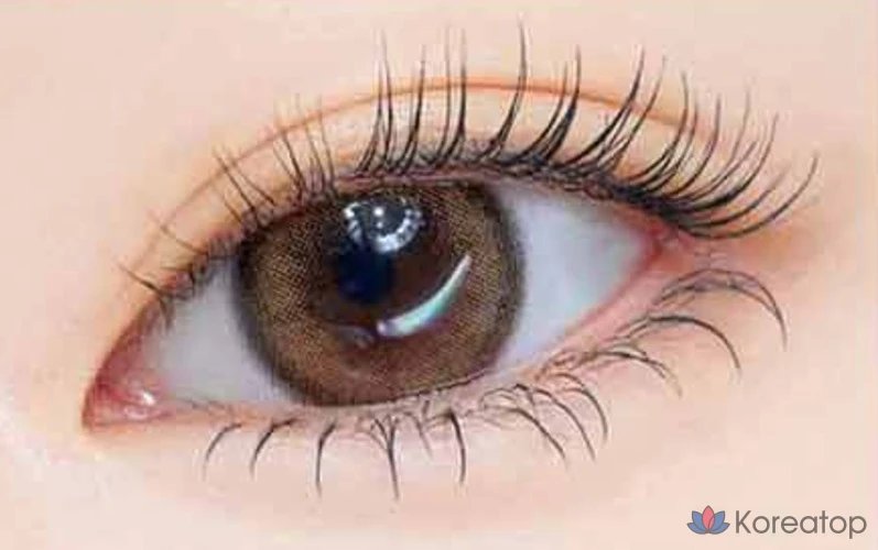 Тушь для ресниц Etude House Curl Fix Mascara Mini, 4 г, 1 шт., цвет сливово-черный (06).