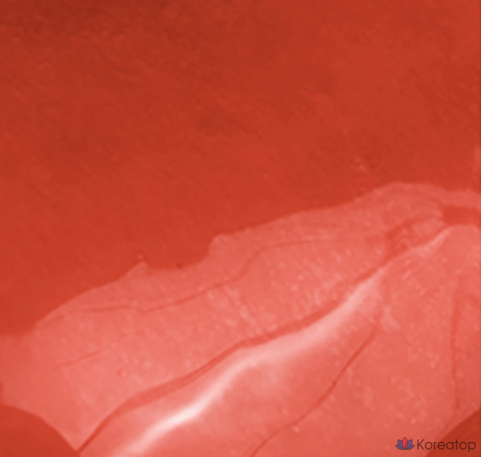 Rom&amp;nd The Juicy Lasting Tint, 13 It Acorn, 1 шт.