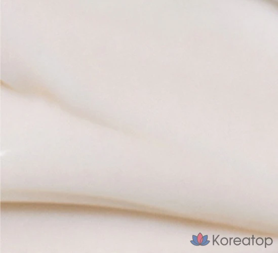 Крем Innisfree с гиалуроновой кислотой и экстрактом зеленого чая, 80 мл, 1 шт.