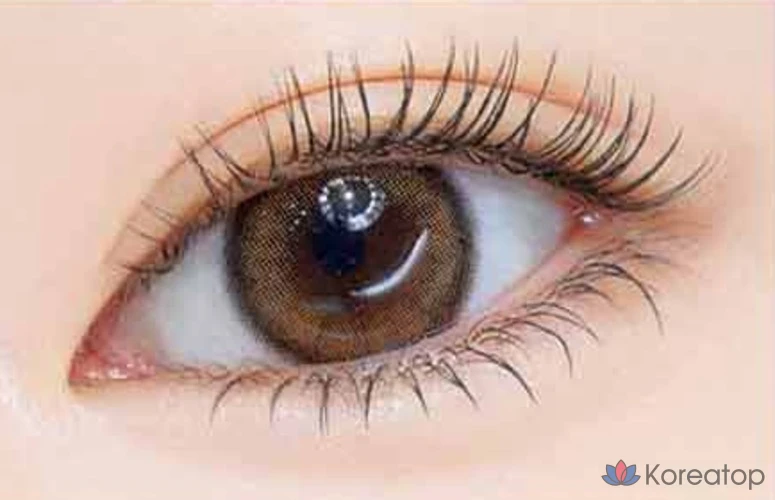 Тушь для ресниц Etude House Curl Fix Mascara Mini, 4 г, 1 шт., цвет сливово-черный (06).