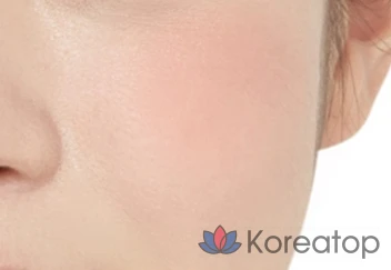 Румяна Etude House Lovely Cookie 4,5 г, BE101 Имбирно-медовое печенье, 1 шт.