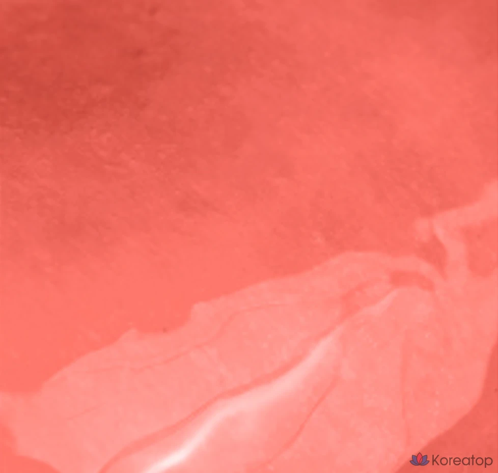 Rom&nd The Juicy Lasting Tint, 11 Papaya Jam, 1 шт., фото 6