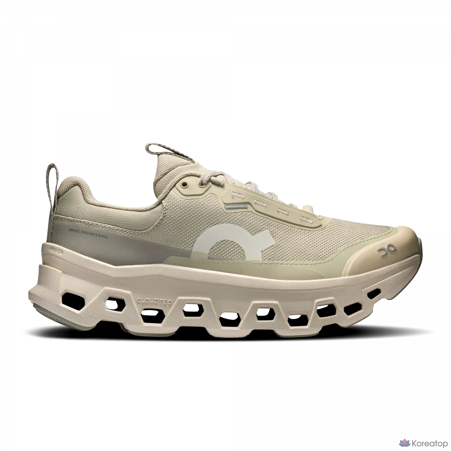 Кроссовки ON Cloudmonster 1 Waterproof