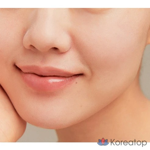 Солнцезащитный крем Innisfree Tone Up No Sebum Sunscreen EX SPF50+ PA++++, 50 мл