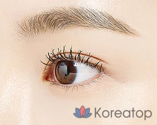 Тушь для ресниц The Saem Studio Double Fit Mascara 9 г, 01, для подкручивания длинных ресниц, 1 шт., фото 4